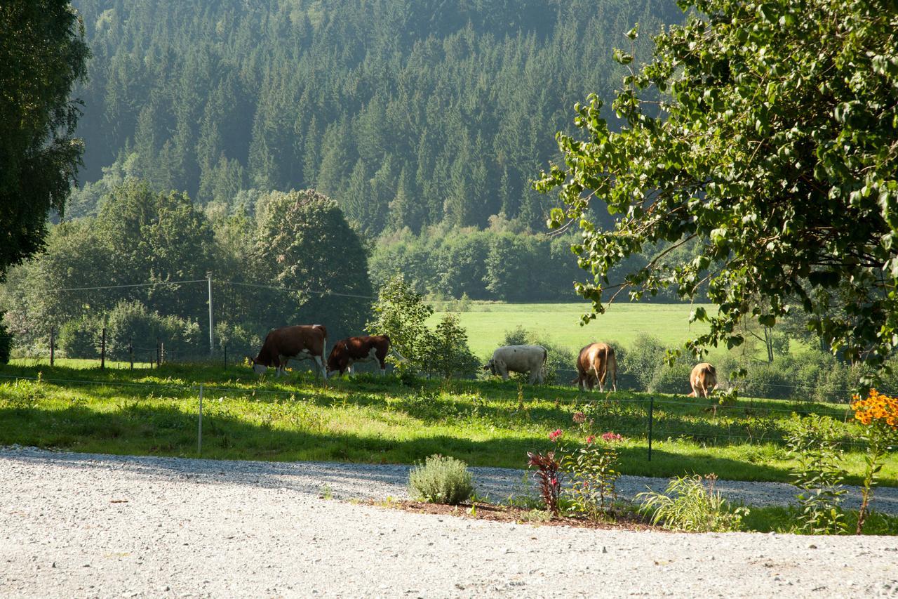 Landhotel Bayerwald Grafling Eksteriør bilde